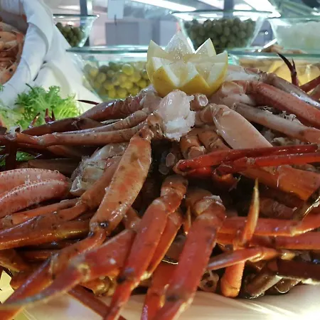 度假村 科托大酒店